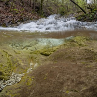 Forest stream with waterfall in the UNESCO World Heritage Beech Forest in the Limestone Alps National Park