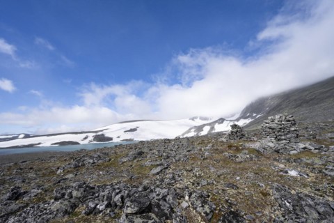 Tundra