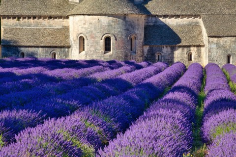 Monastery