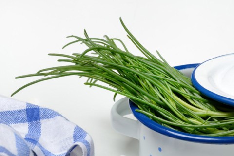 Monk's beard in pots