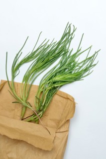 Monk's beard