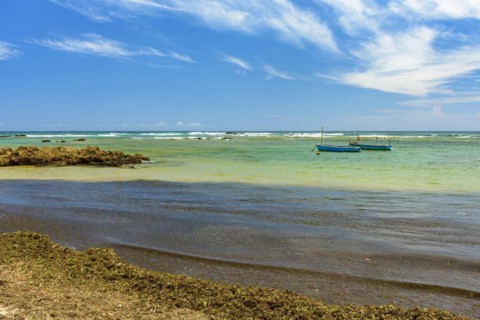 Fishing boats on the colorful waters of Itapua beach in Salvador