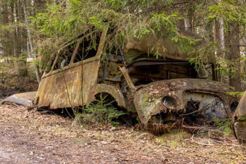 Car graveyard in the middle of the forest near Ryd