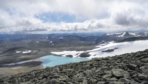 Tundra