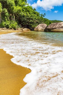 Sea foam advancing over the sand on the beach surrounded by rainforest in Ilha Grande