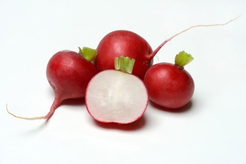 Radish