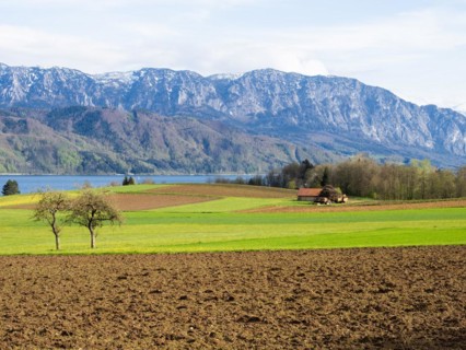 Agriculturally prepared field