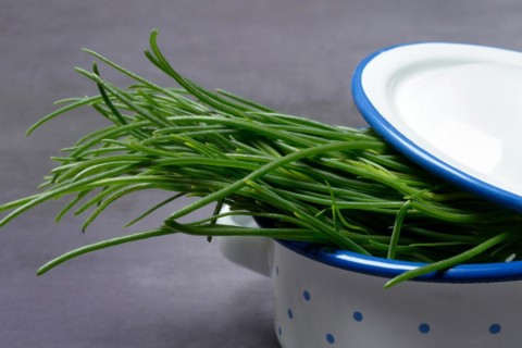 Monk's beard in pots