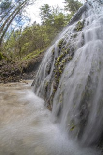 Forest stream with waterfall in the UNESCO World Heritage Beech Forest in the Limestone Alps National Park