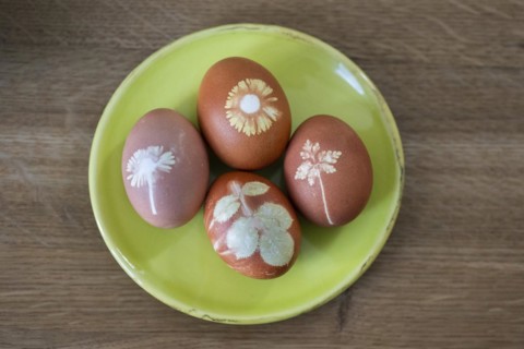 Four Easter eggs coloured with onion skins and flowers on a plate