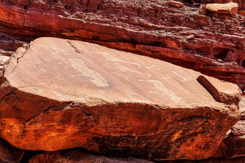 Rock engravings