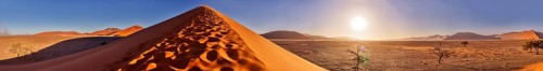 Dune 45