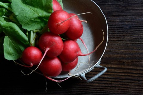 Bunch of radish