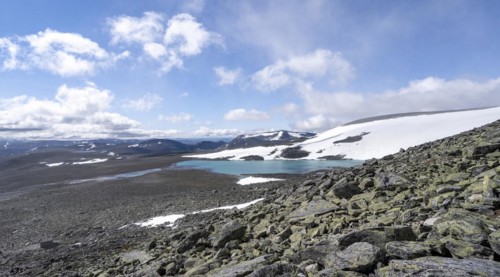 Tundra