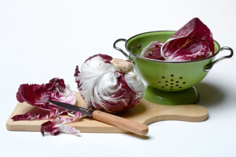 Cicorino