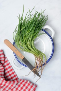 Monk's beard with knife on pot