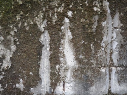 Concrete with moss background