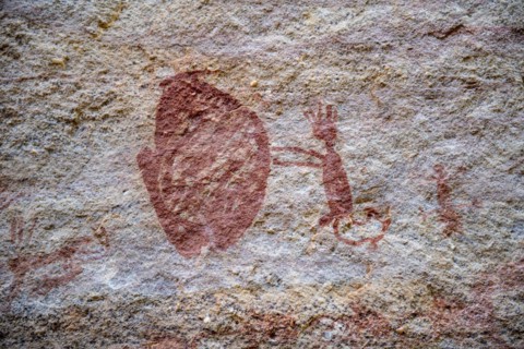 Rock art painting at Pedra Furada
