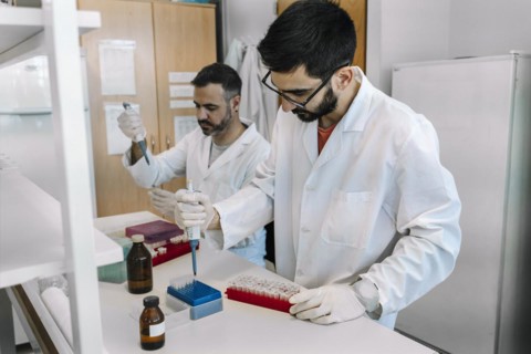 Young scientists using micropipette transfer the sample to a microwell plate