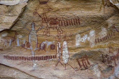 Rock art painting at Pedra Furada