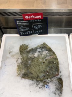 Display of fishery caught fish fresh fish turbot