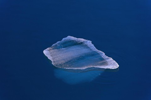 Melting ice floe drifting in Polar ocean