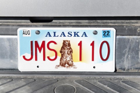 Number plate with grizzly