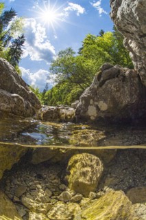 Underwater photo in a mountain stream in the Kalkalpen National Park