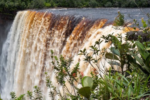 Kaieteur Falls on the Potaro River in the Kaieteur National Park