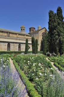 Rose garden of the Fontfroide Abbey