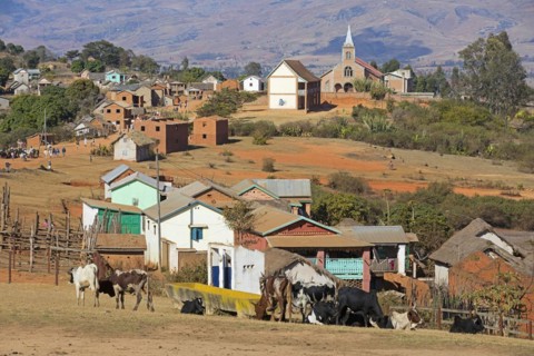 Rural village with church in the Central Highlands where a weekly zebu market takes place