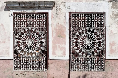 Window grille