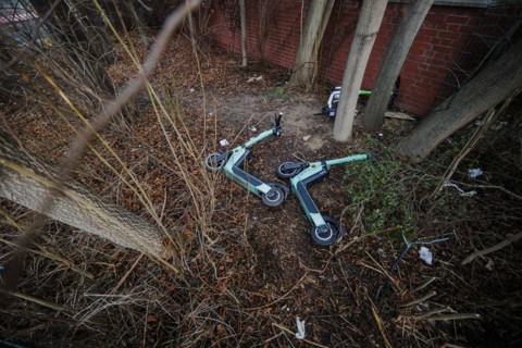 EScooters of the eScooter and bike rental company TIER lie in a bush in Berlin Mitte. Berlin