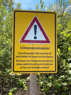 Warning sign warning of dangerous caterpillar species caterpillar oak processionary moth