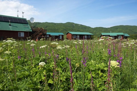 Katmai Wilderness Lodge