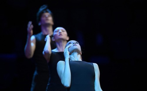 The Stuttgart Ballet dances in the supporting programme as part of the final of the Porsche Tennis Grand Prix in the Porsche Arena