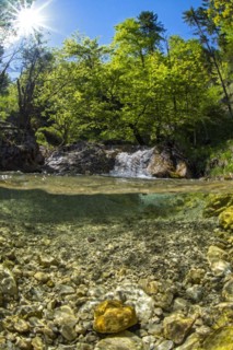 Underwater photo in a mountain stream in the Kalkalpen National Park