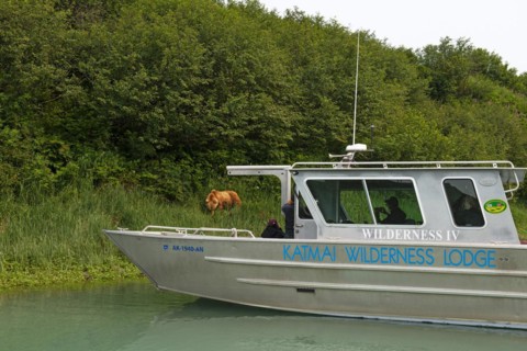 Tourists on photo safari by boat in Kukak Bay watching grizzly bears