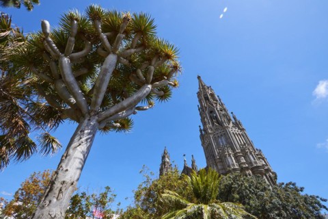 Arucas Cathedral