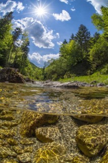 Underwater photo in a mountain stream in the Kalkalpen National Park