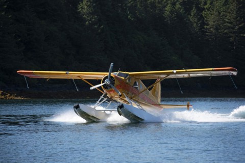 Seaplane landing at Trident Basin Airport