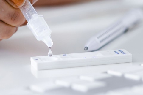 Symbol photo on the subject of ' Compulsory testing in the office'. A Sars Covid-19 antigen rapid test lies on the keyboard of a computer. Berlin