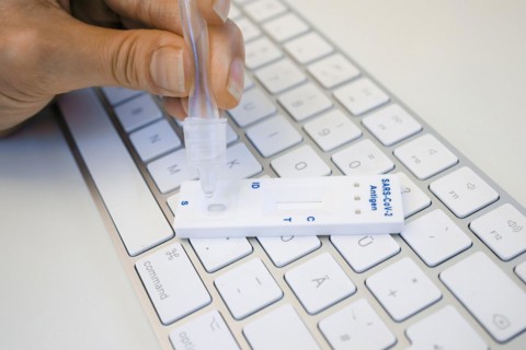 Symbol photo on the subject of ' Compulsory testing in the office'. A Sars Covid-19 antigen rapid test lies on the keyboard of a computer. Berlin