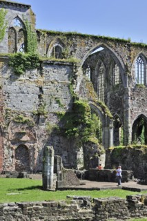 Ruins of the Aulne Abbey