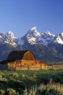 Picturesque Mormon Row barn and the Cathedral Group Mountains at Jackson Hole