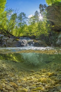 Underwater photo in a mountain stream in the Kalkalpen National Park