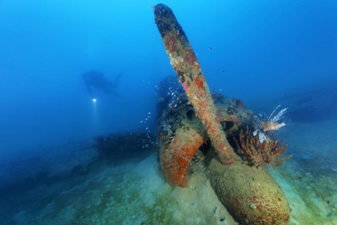 Diver explores Japanese Nakajima Ki-43 Hayabusa