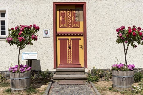 Historical wooden door with painted carvings
