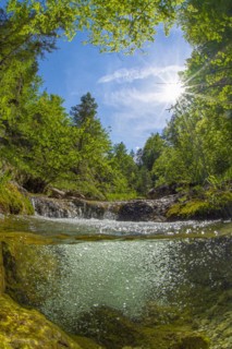 Underwater photo in a mountain stream in the Kalkalpen National Park