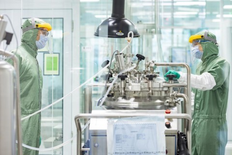 Vaccine production at Allergopharma in Berlin